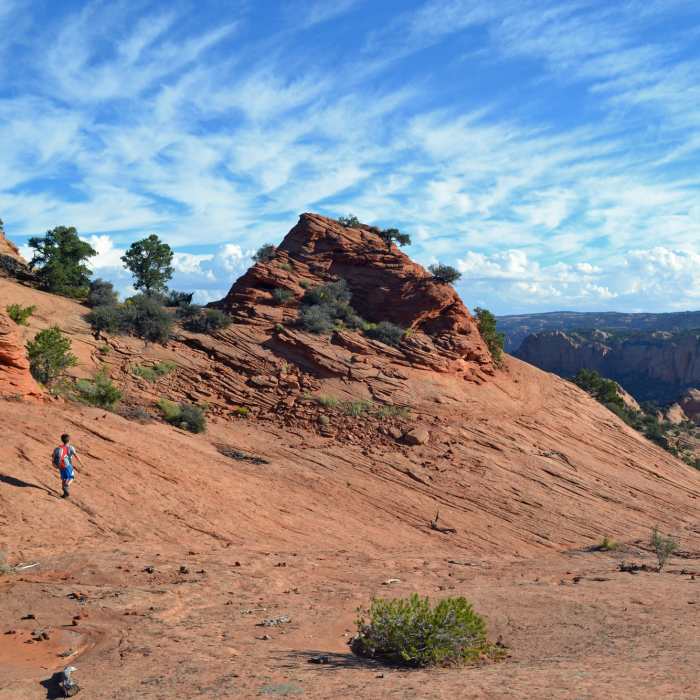 High on Tsegi Point. Near Keet Seel