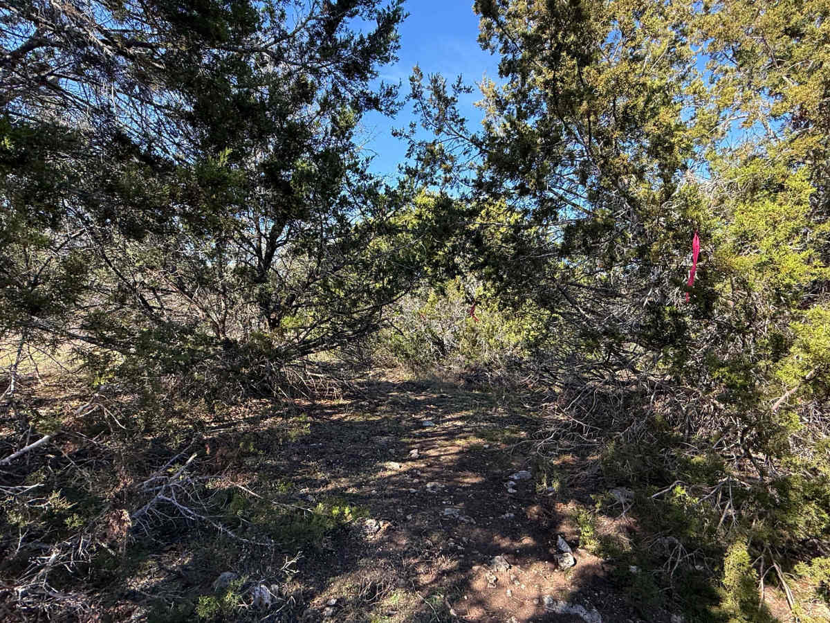 Raven's Crossing photo 2