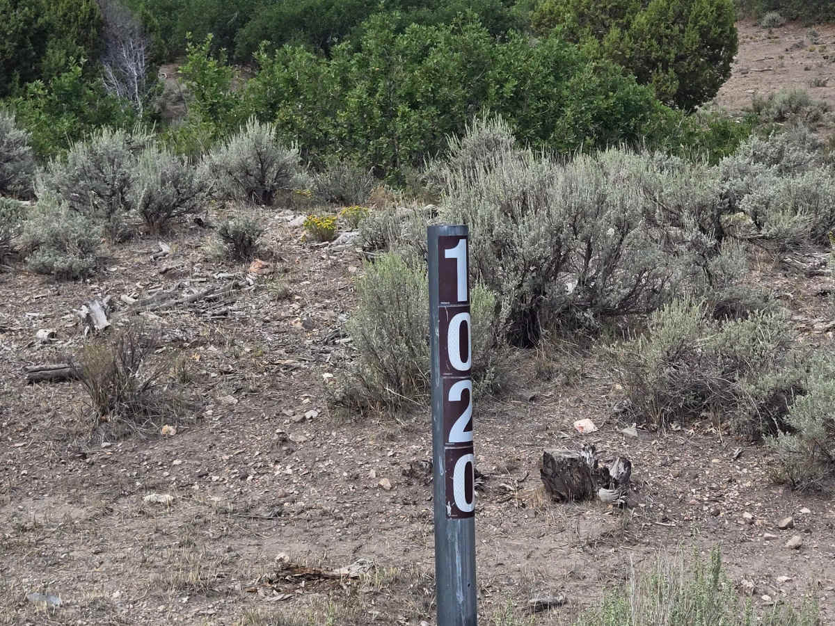 Rugged Wash Trail - FS 41120 photo 2