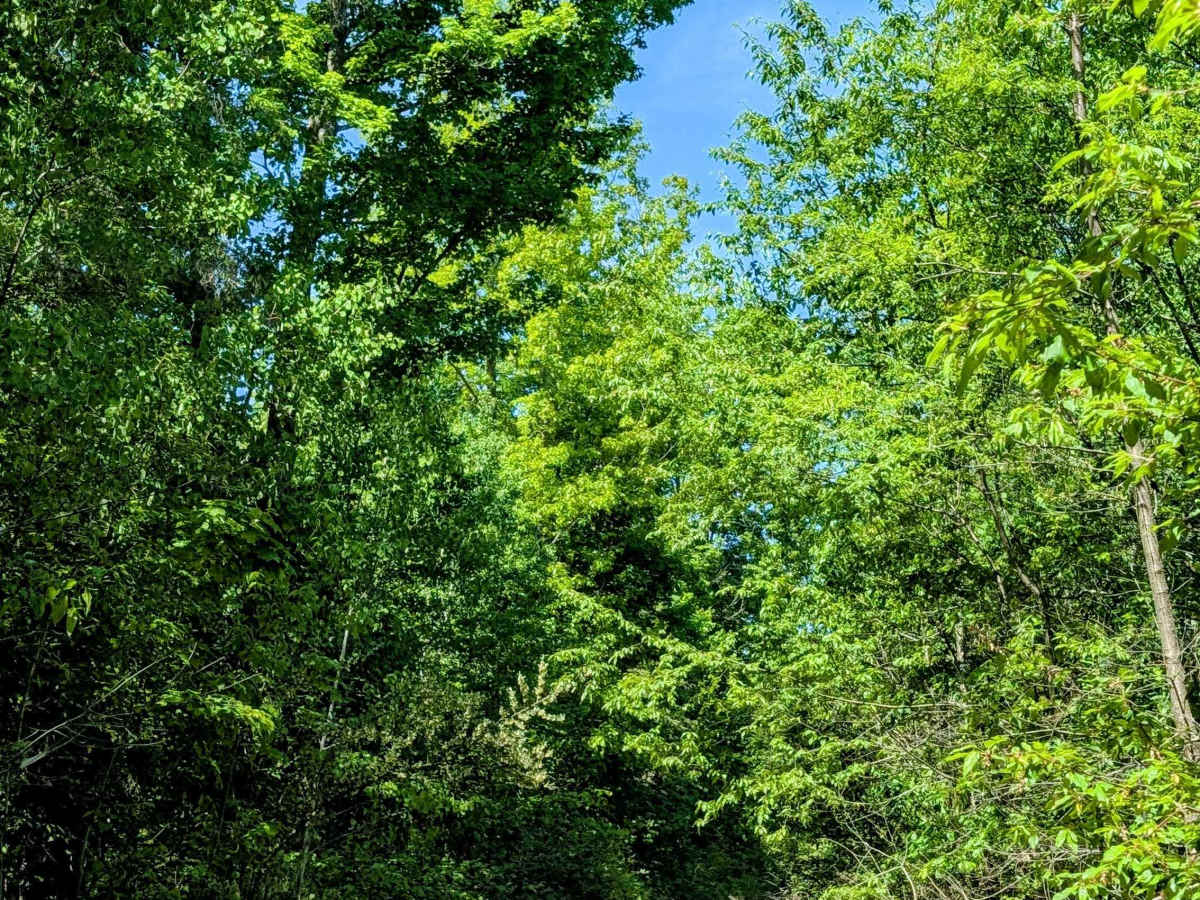 Decker Road - 571105 photo 6