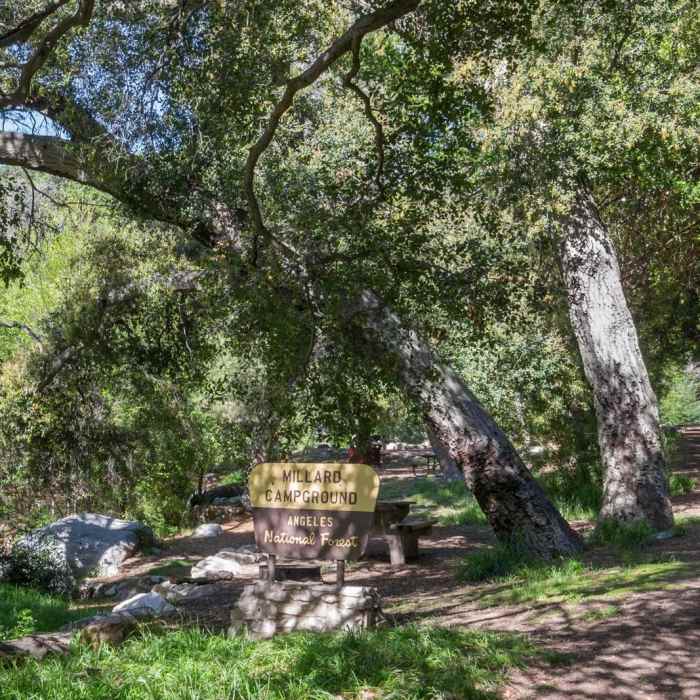 Near Millard Falls Hike