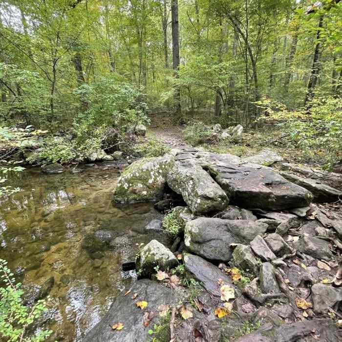 Near Blue Trail