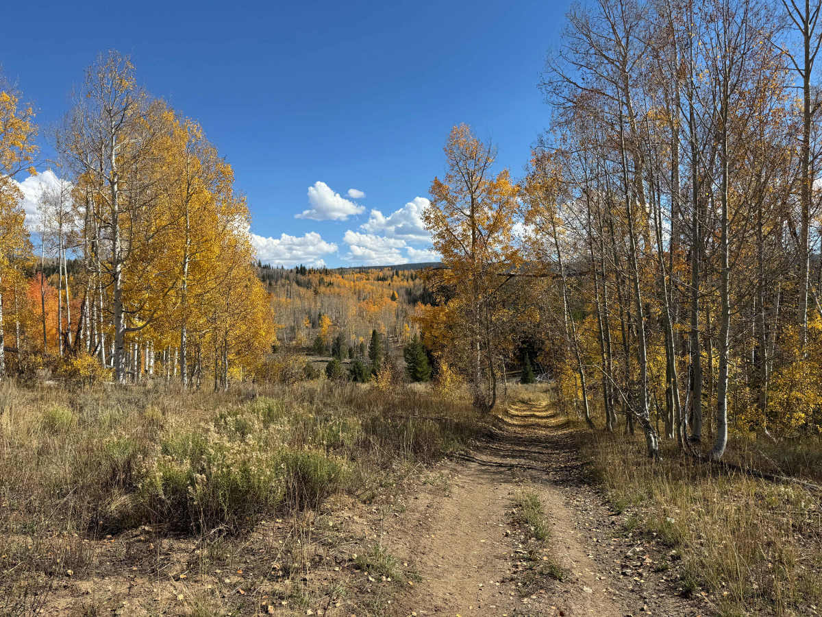 Crane Park Trail photo 4