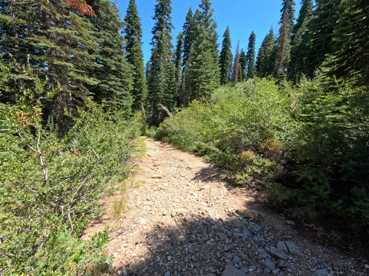 Fir Cap Trail - North Segment - 10E22 photo 6