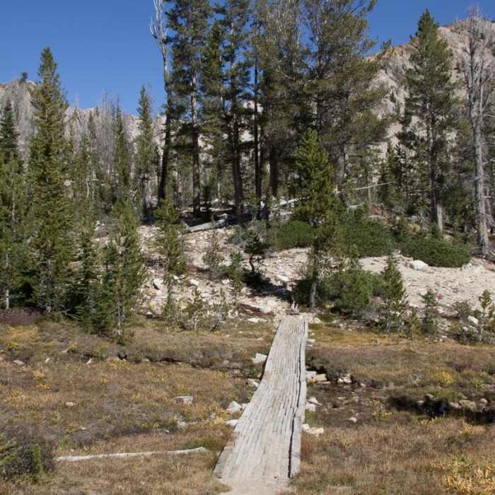 Near Edith Lake and Sand Mountain Divide