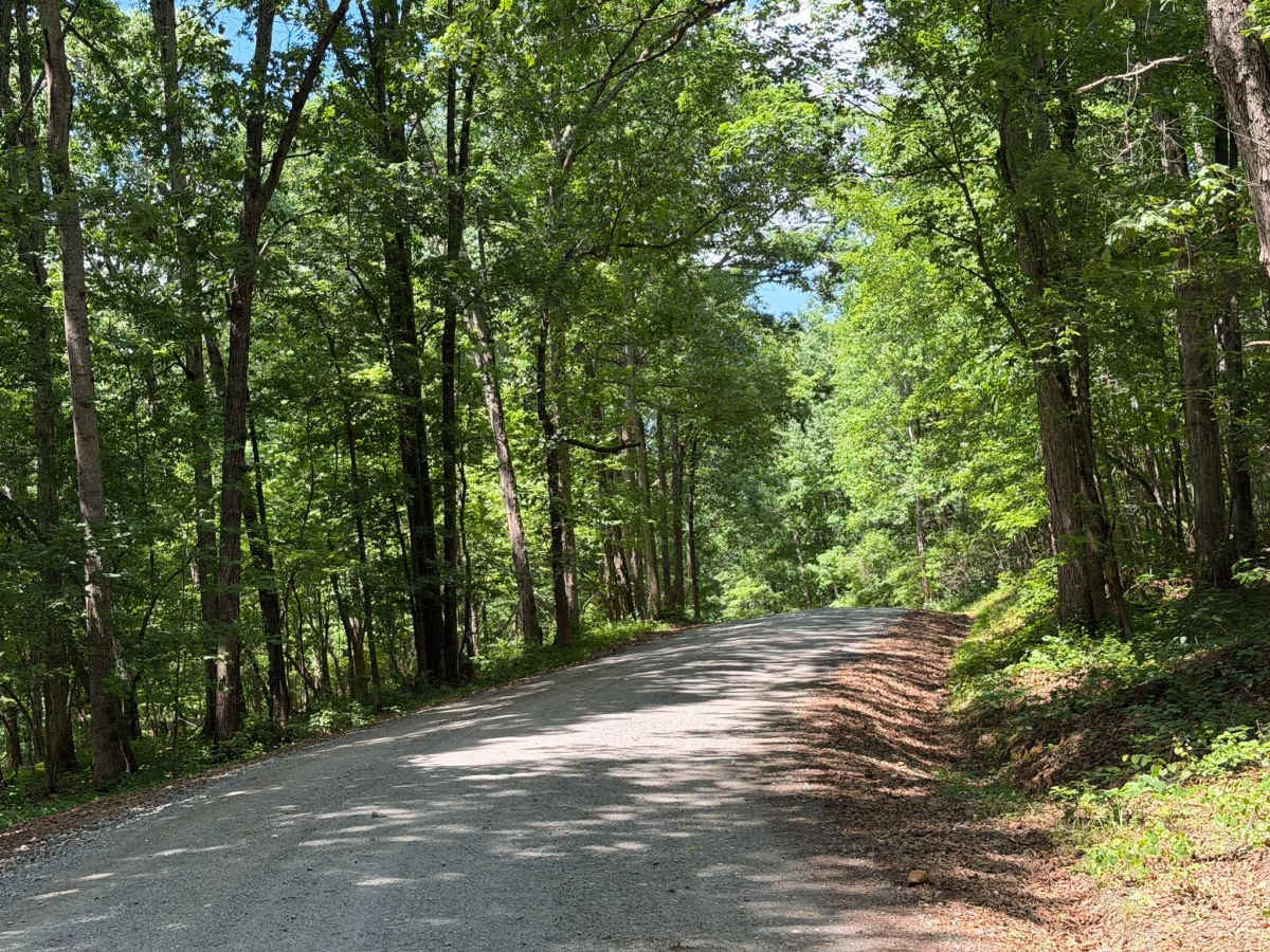 Kings Mountain Road - FS 597A photo 5