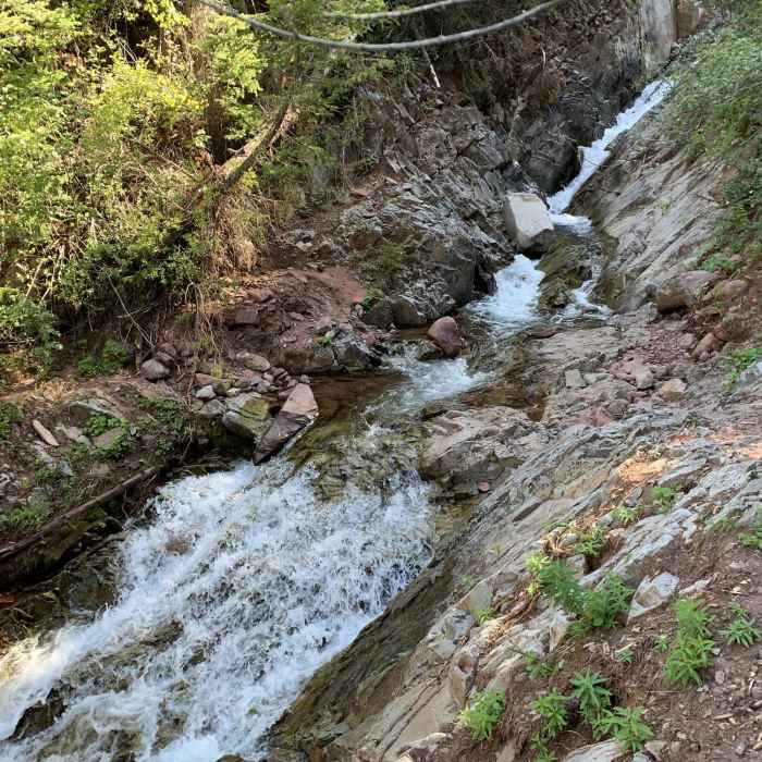 Near Avalanche Creek Trail