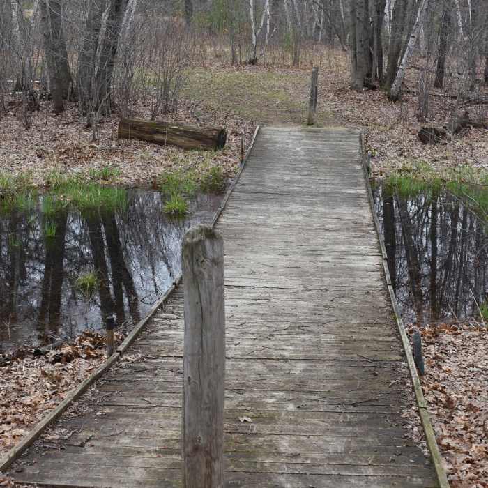 Near Coon Lake Regional Park Trail