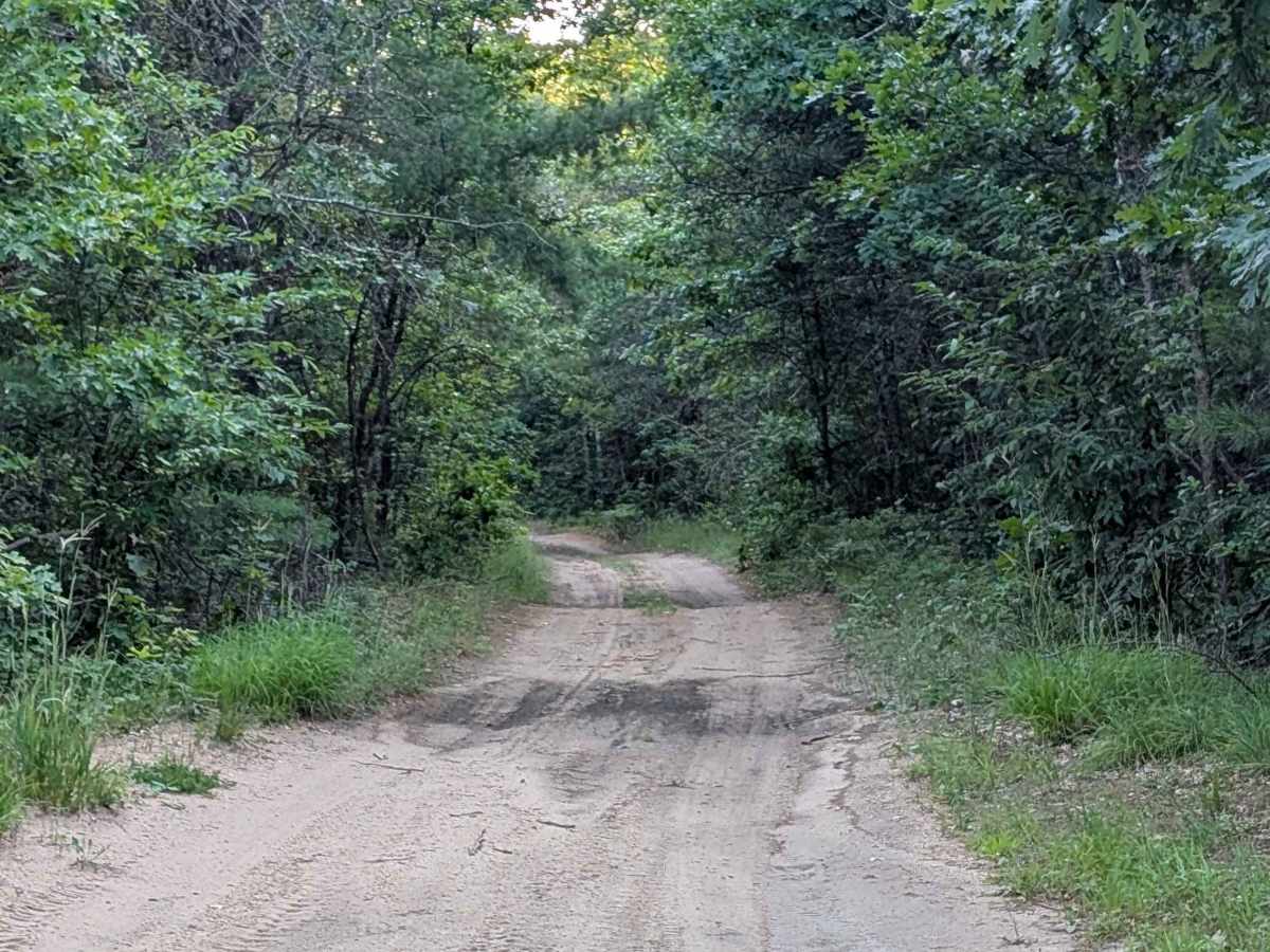 Stelmach Trail photo 3