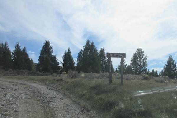 Cottonwood Creek - FS8337