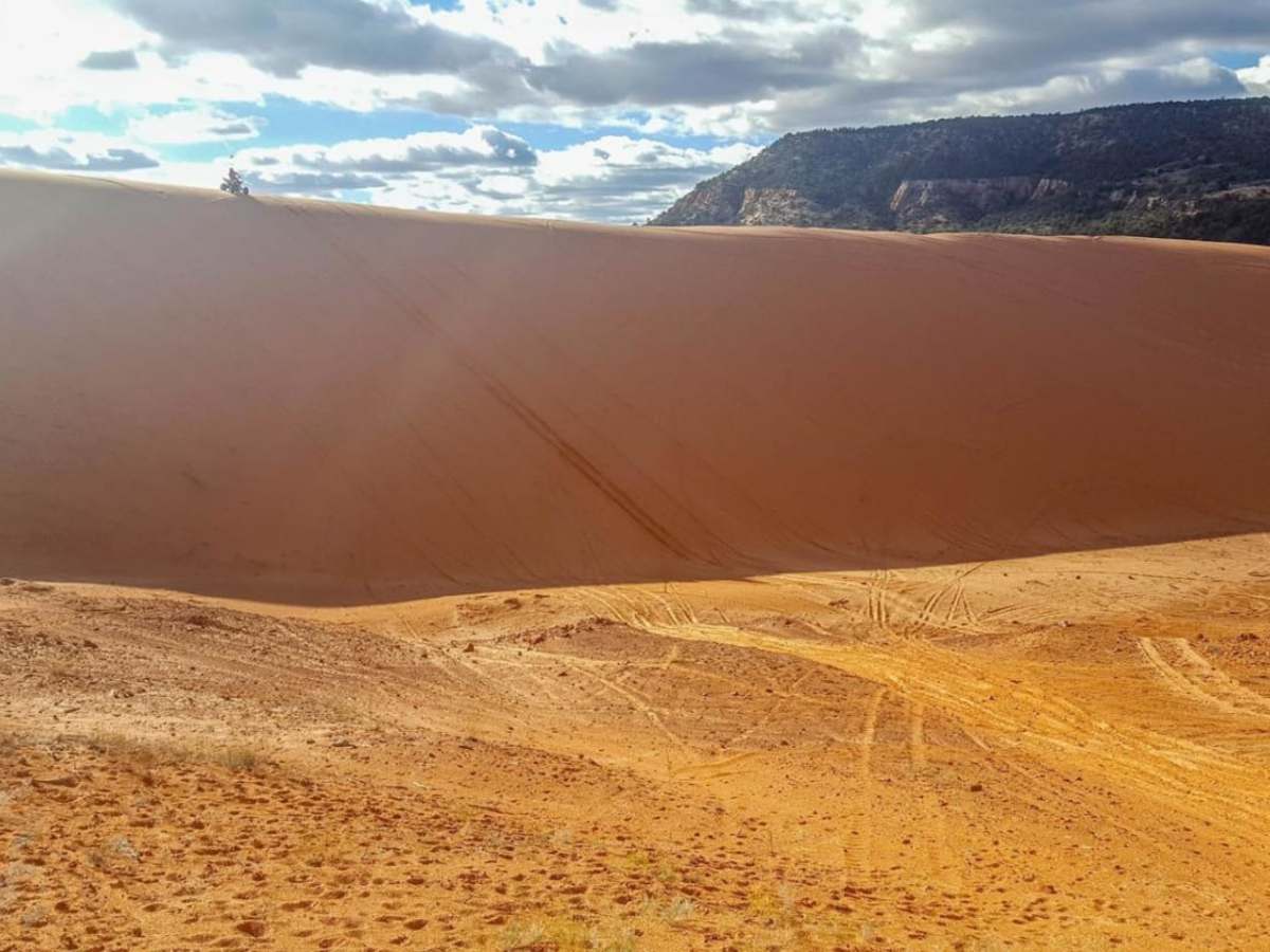 Coral Pink Sand Dunes trail photo