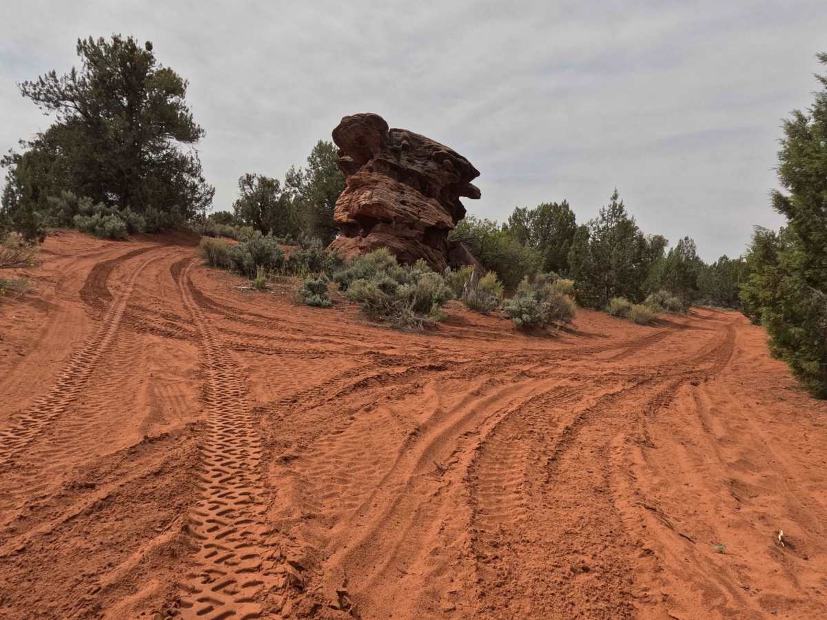 BLM 64E (1155) trail photo