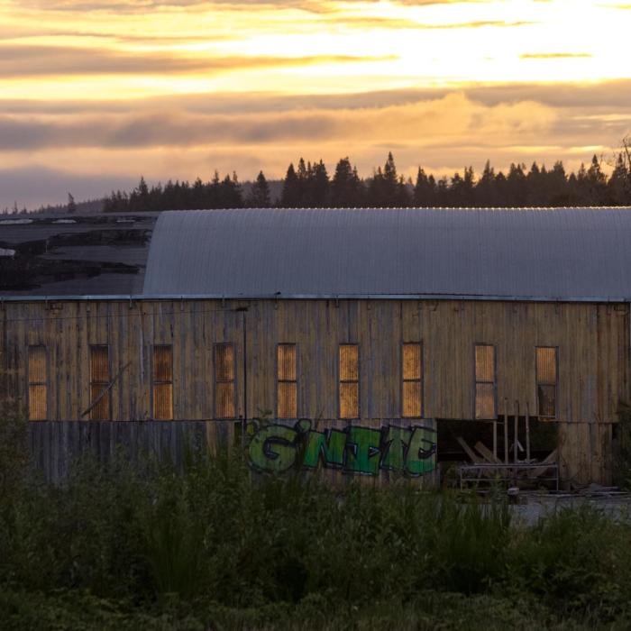 Near Oregon Coast Trail Section 8