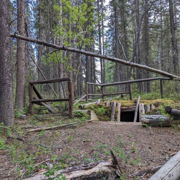 Near Forest Ecology Loop Trail