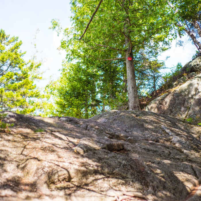 Near Noonmark Mountain