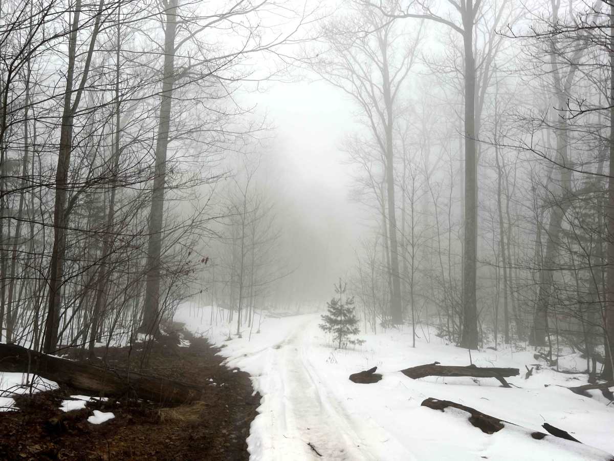 Kinney Hollow Trail photo 4