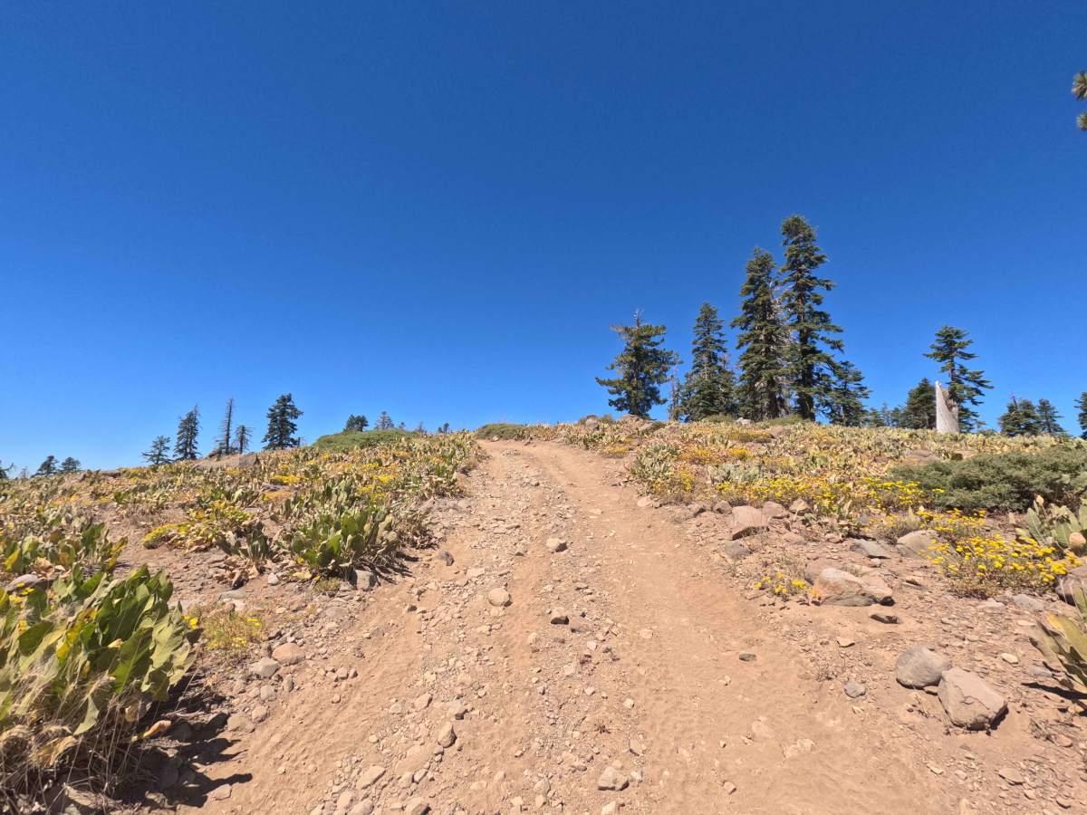Flagpole Point - FS 7N11D photo 6