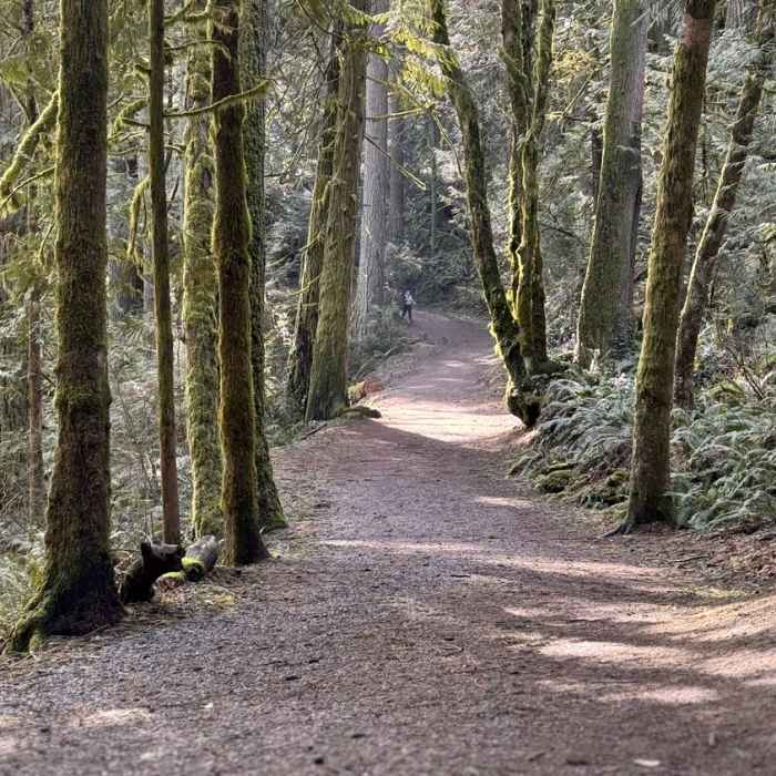Near Lacamas Creek Trail