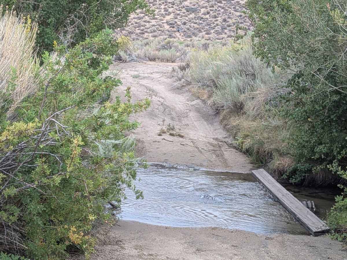 Lucky Strike Mine - FS 7S105 photo 2