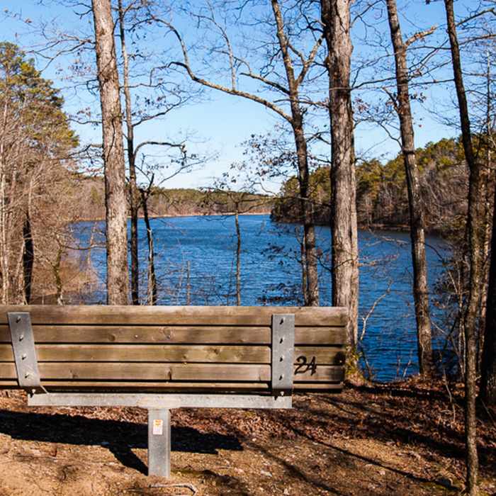 A bench along the Lake Ouachita Vista Trail overlooks Lake Ouachita, AR. Near LOViT: Ode to Bench