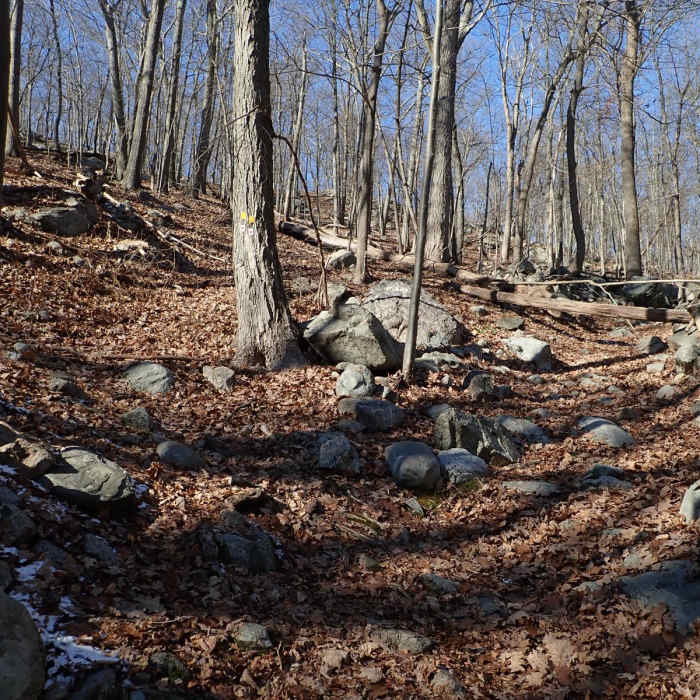 Near Pine Meadow Trail