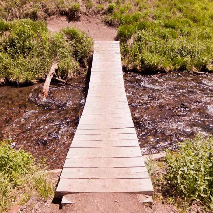 Near Annie Creek Canyon Loop Trail