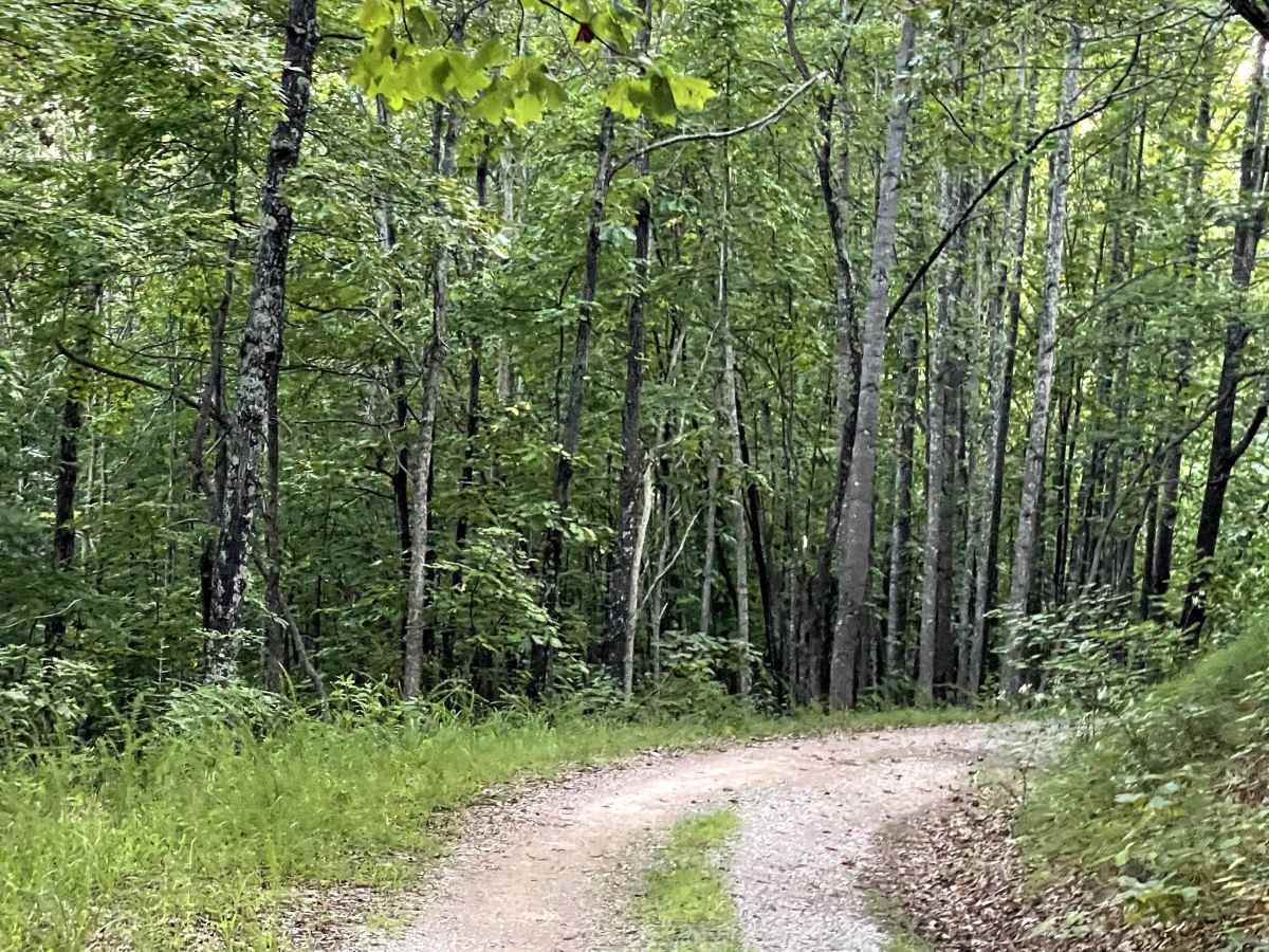 Price Mountain photo 5