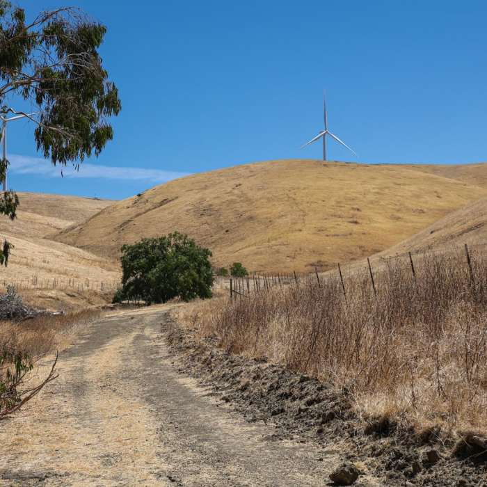 Near Laughlin Ranch Loop