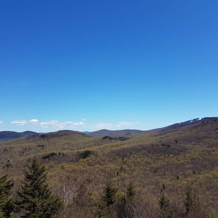Deer Loop Overlook Near Deer Leap Overlook