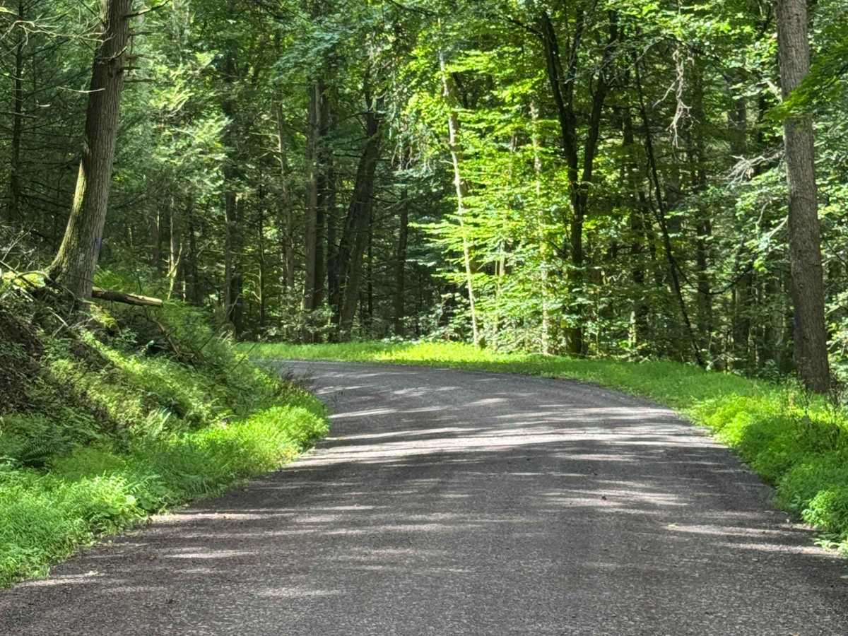 Holmes Hollow Road photo 4