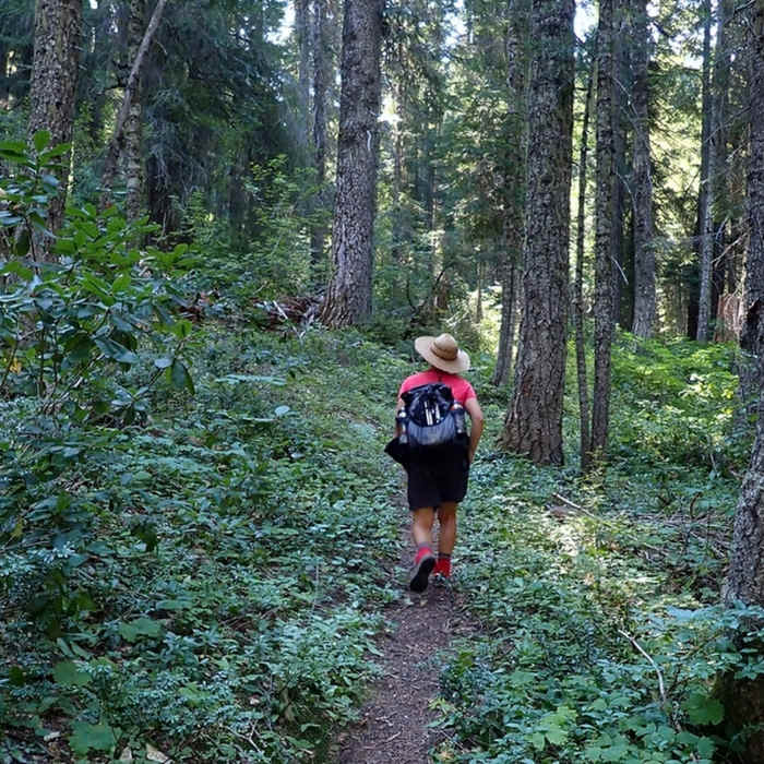 Near Sucker Creek Trail #1237