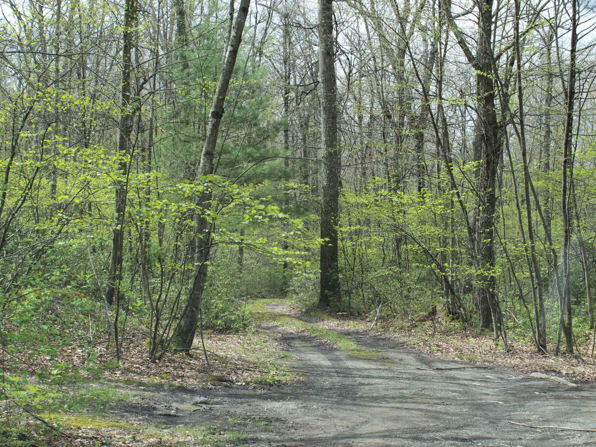 Kratzer Road photo 3