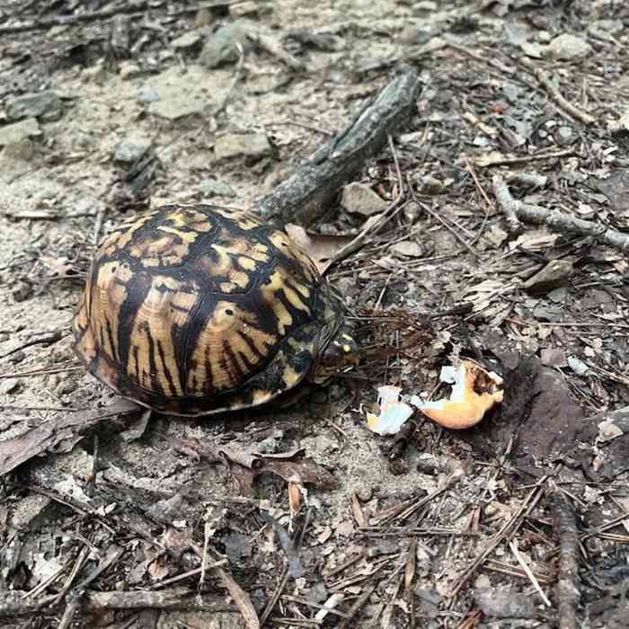 Near Southwest Park Loop