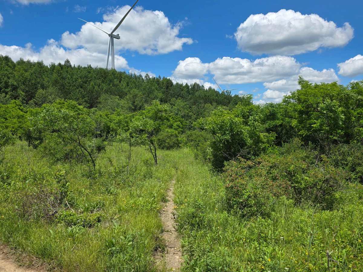Single Track PP photo 2