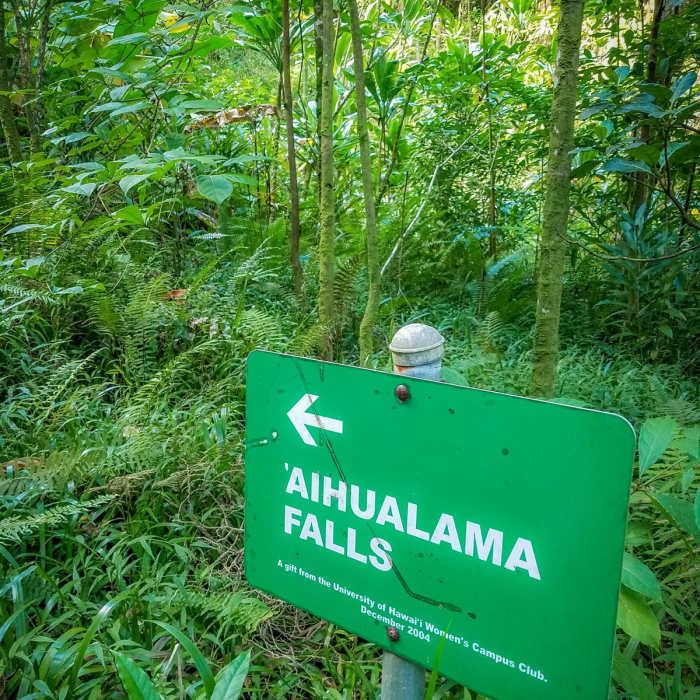 Near Harold L. Lyon Arboretum Near Harold L. Lyon Arboretum