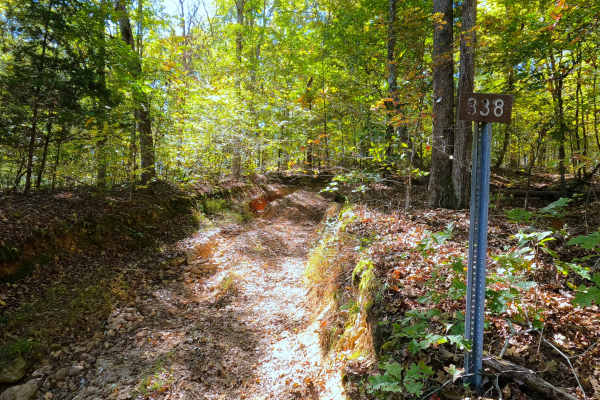 Chambers Cemetery - FS 338