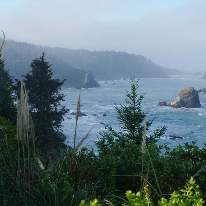 Near Patrick's Point Loop
