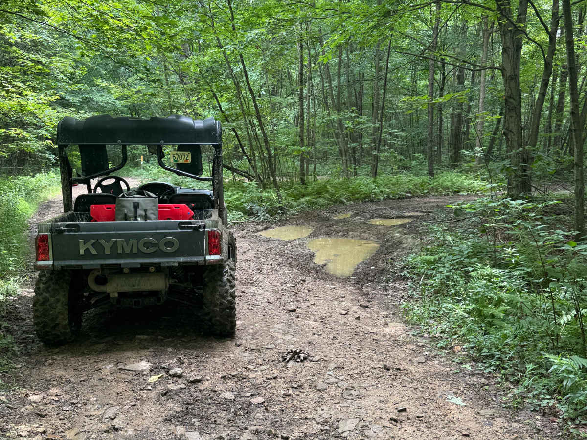 Trail 75 trail photo