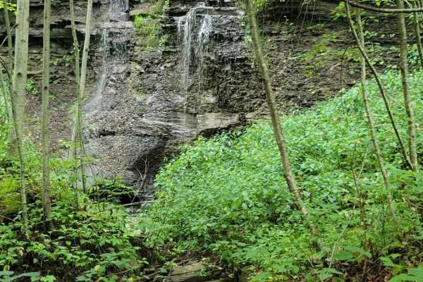 Trail 5 - Flat Gap