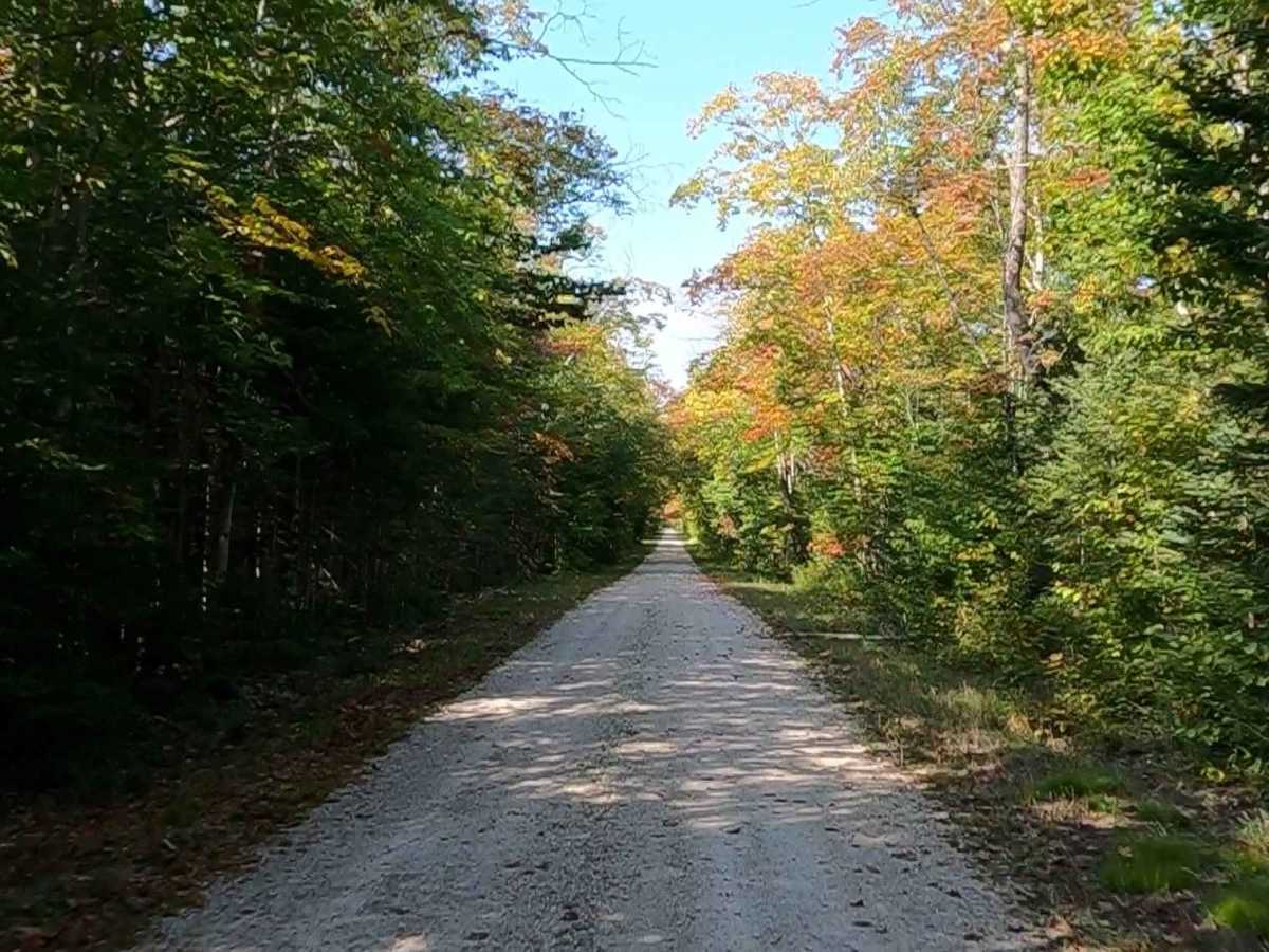 South Gamble Road - FS 3116 photo 6