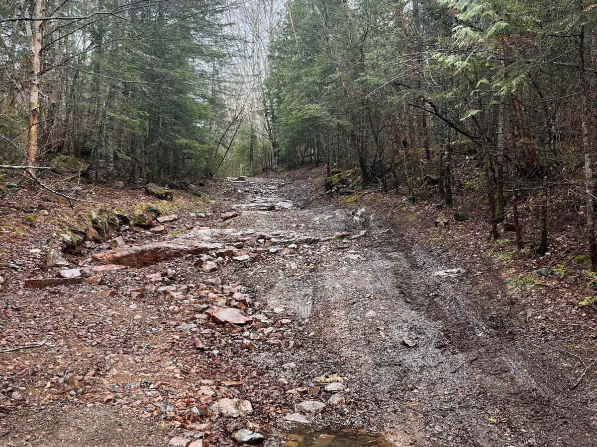 Thrasher Trail photo 5