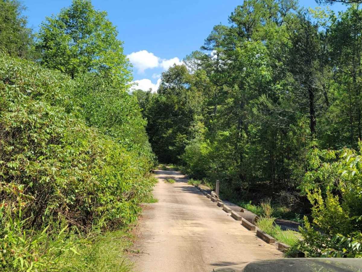 Mount Zion Cemetery trail photo