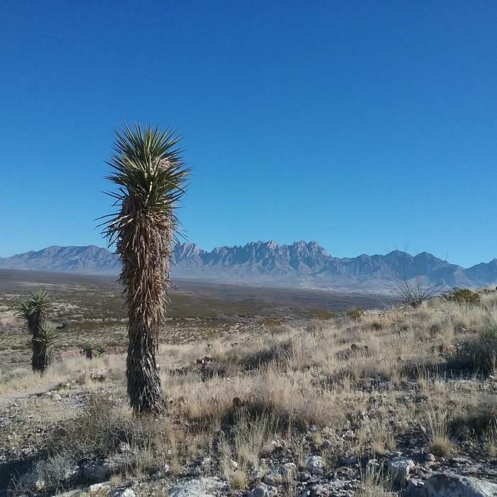 Near Arroyo Loop