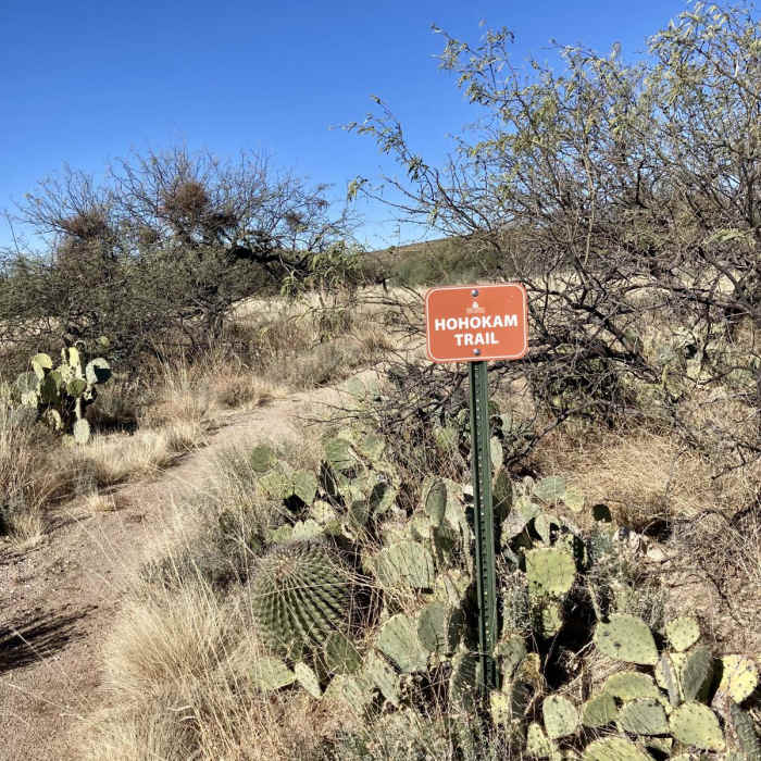 Near Hohokam Trail