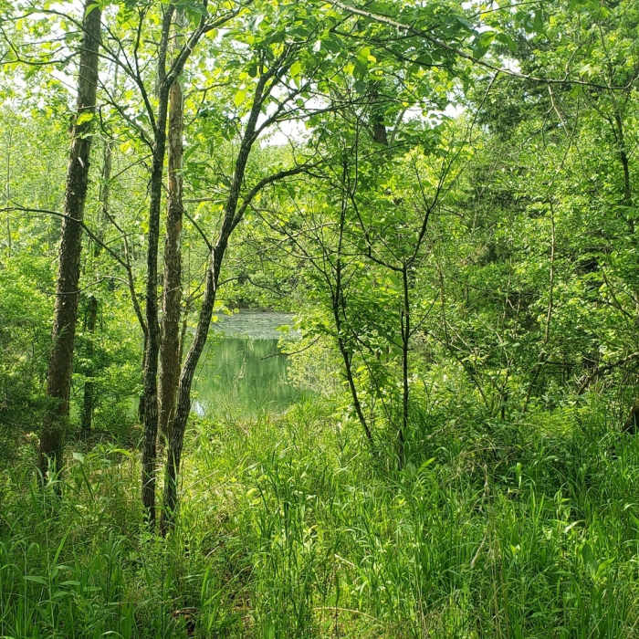 Near Greens Cave Bushwack - Sleepy Hollow Off-Trail Route