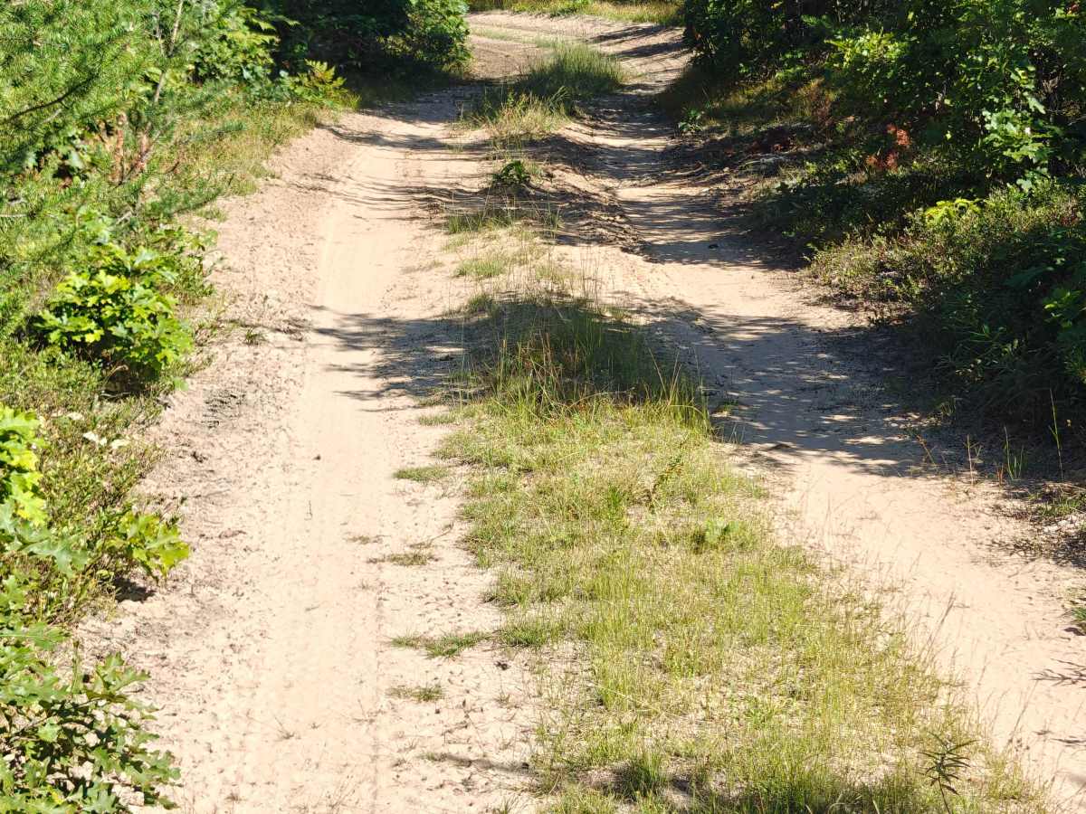 South Townline Road photo 2