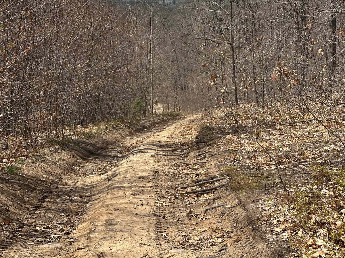 679 Loop photo 6