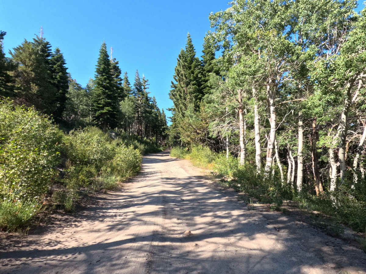 Horse Meadows Rd - FS 31051 photo 4