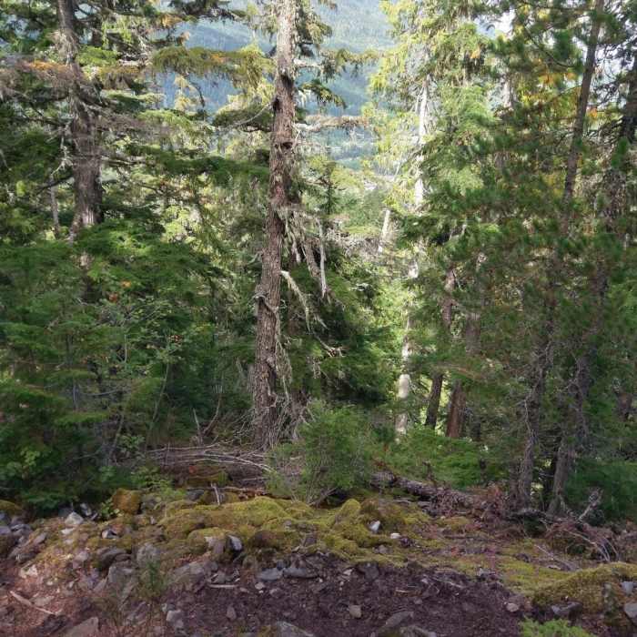 Near Crater Rim Trail
