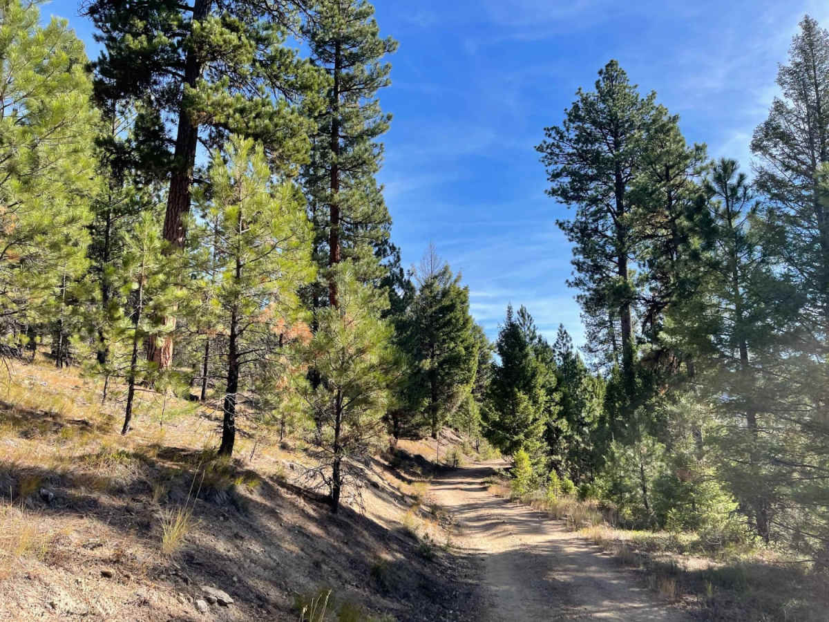 Coal Creek to Blue Joint photo 6